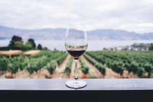 A wine glass on a rail overlooking a vineyard in daylight